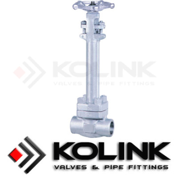 Cryogenic/Low Temperature Globe Valve, Stainless Steel Body